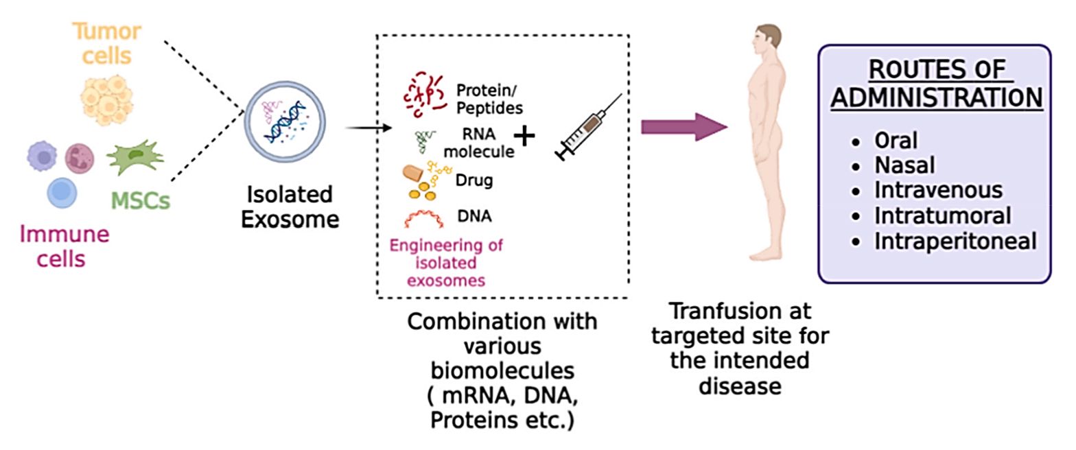Figure 1. Drug delivery by exosomes.