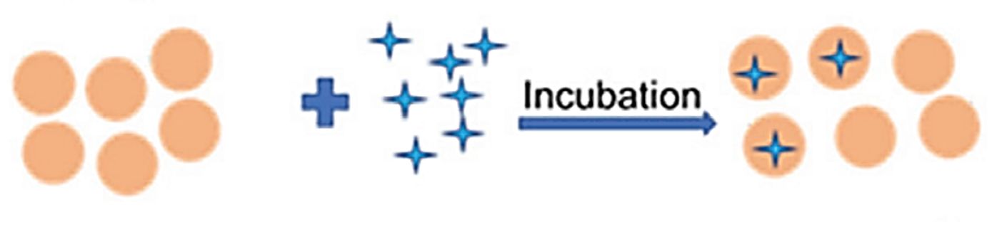 Figure 2. Exosome drug loading by incubation.