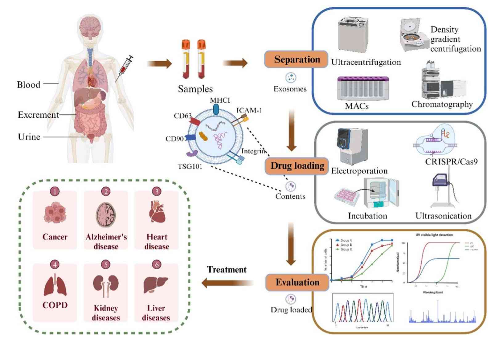 Figure 1. Engineering exosomes for therapeutic applications.
