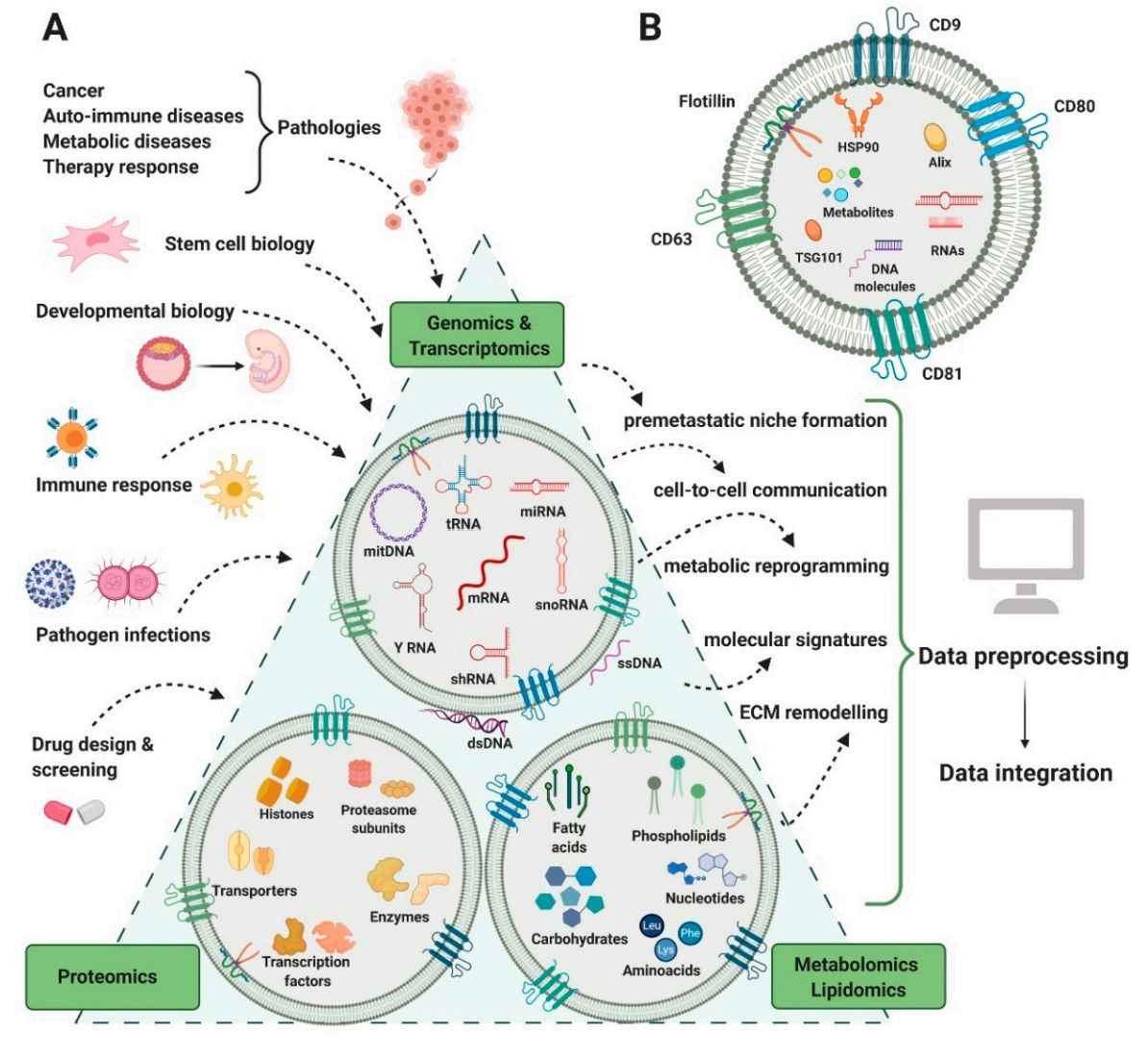 Figure 3. Multi-omics techniques for exosome analysis.