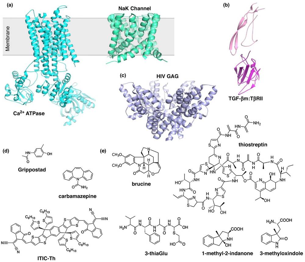 MicroED structures of membrane proteins, protein complexes, small molecules, and natural products, highlighting diverse structural insights.