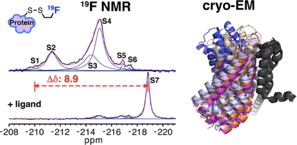 Integrative Structural Biology: Multi-Modal Approaches for Advanced Insights