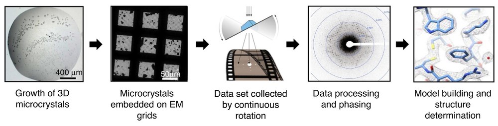 MicroED Technology Overview