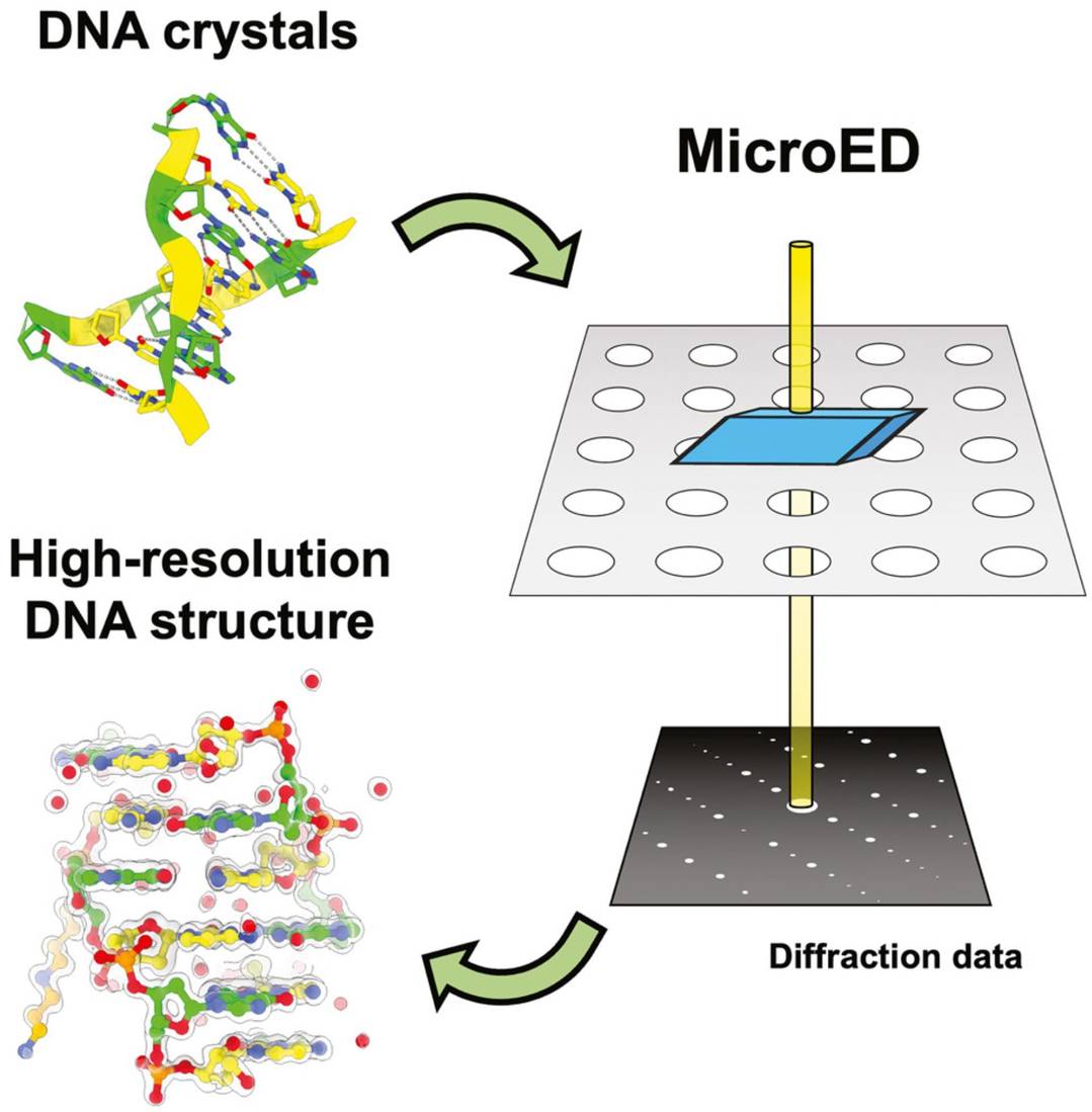 MicroED structure of d(CGCGCG)2 DNA at 1.10 Å, enabled by cryo-FIB milling, highlighting MicroED's application in nucleic acid research.