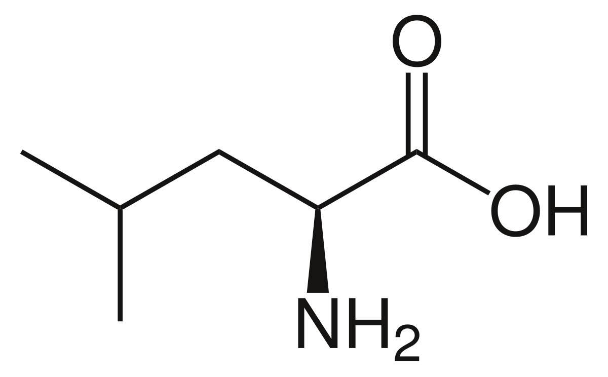 Leucine