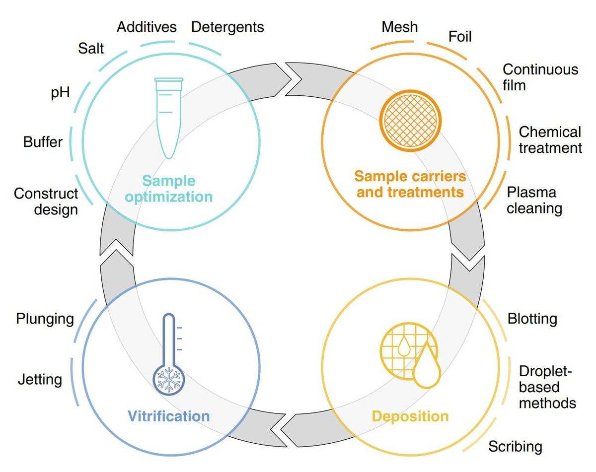 Cryo-EM Sample Preparation Overview