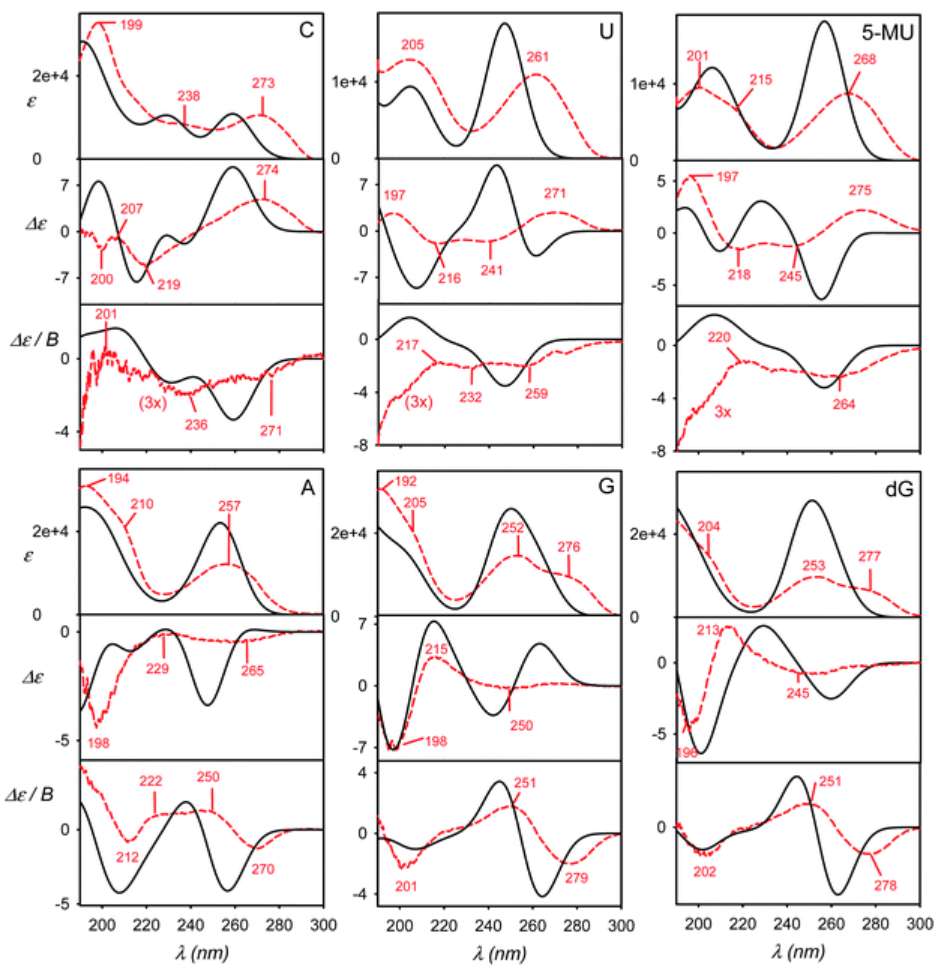 Calculated vs experimental absorption, ECD, and MCD spectra of six nucleosides (C, U, 5-MU, A, G, dG).