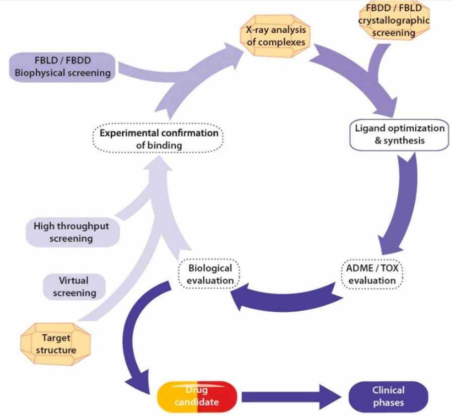 Drug design cycle with X-ray crystallography contributions and optional early-stage steps.