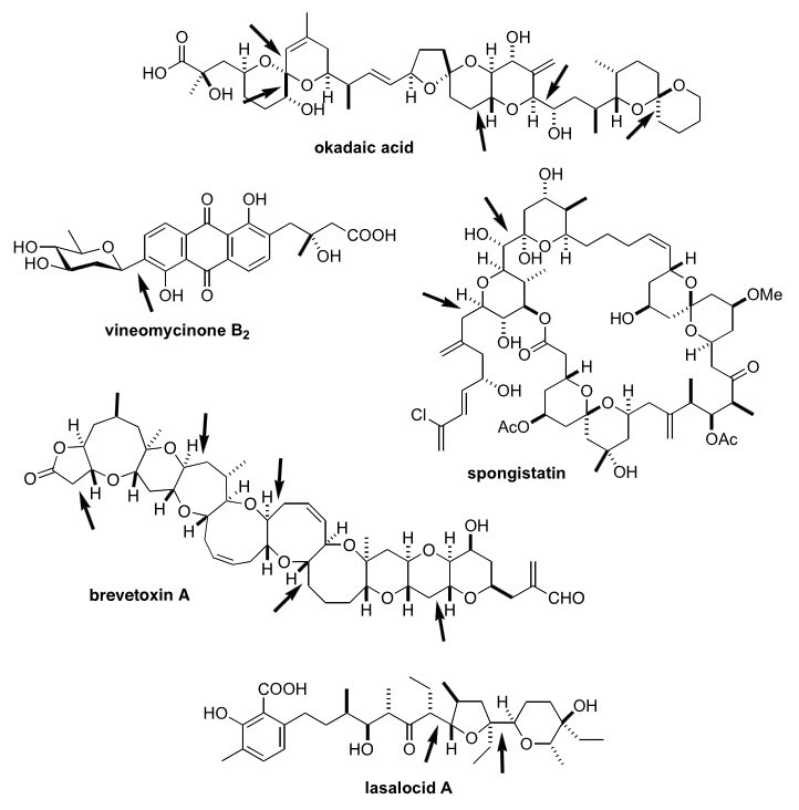 C-Glycosidic linkages in natural products: okadaic acid, vineomycinone B2, spongistatin, brevetoxin A, and lasalocid A.