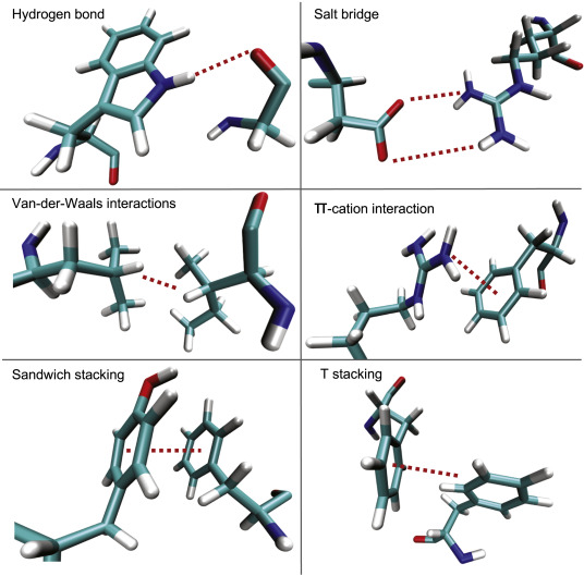 Diagram of hydrogen bonding, van der Waals interaction, salt bridge, π cation interaction, sandwich stacking, and T stacking.