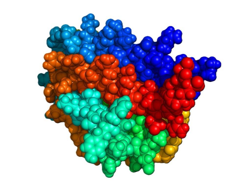 Structure of human erythropoietin.