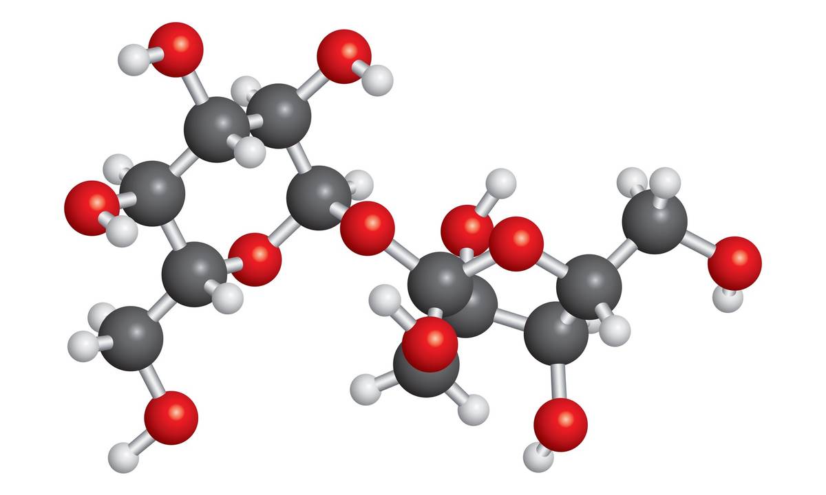 Carbohydrate Structure Overview