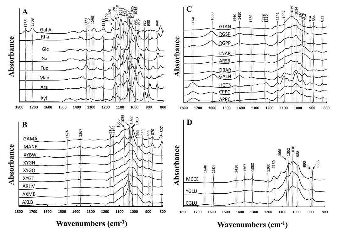 ATR-FTIR spectroscopy was used to determine the composition of 58 cell wall polysaccharides of extracted and commercial origin.