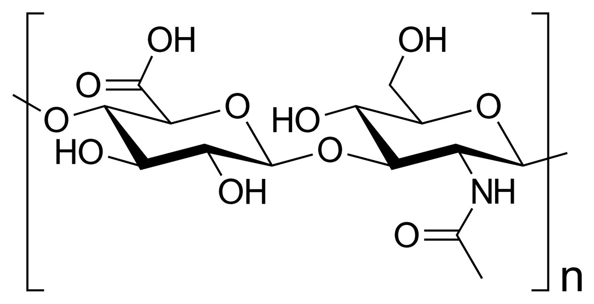 Skeletal formula of hyaluronan.