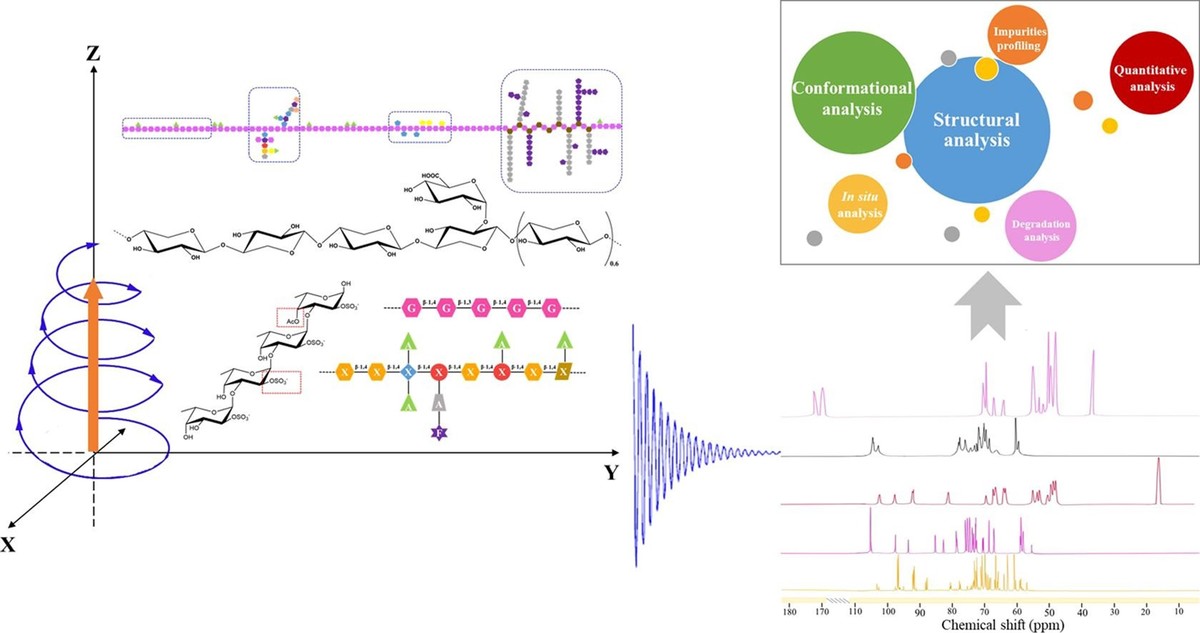 NMR analysis is a tool for the study of the structure and conformation of polysaccharides.