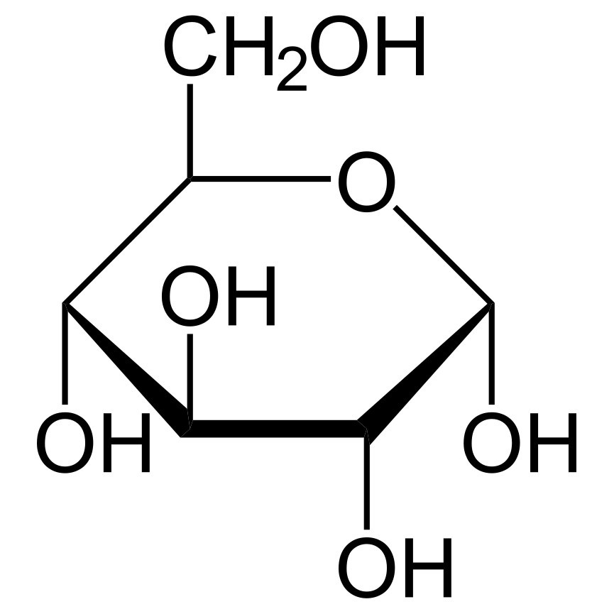 Structure of alpha-D-glucopyranose (Haworth projection).