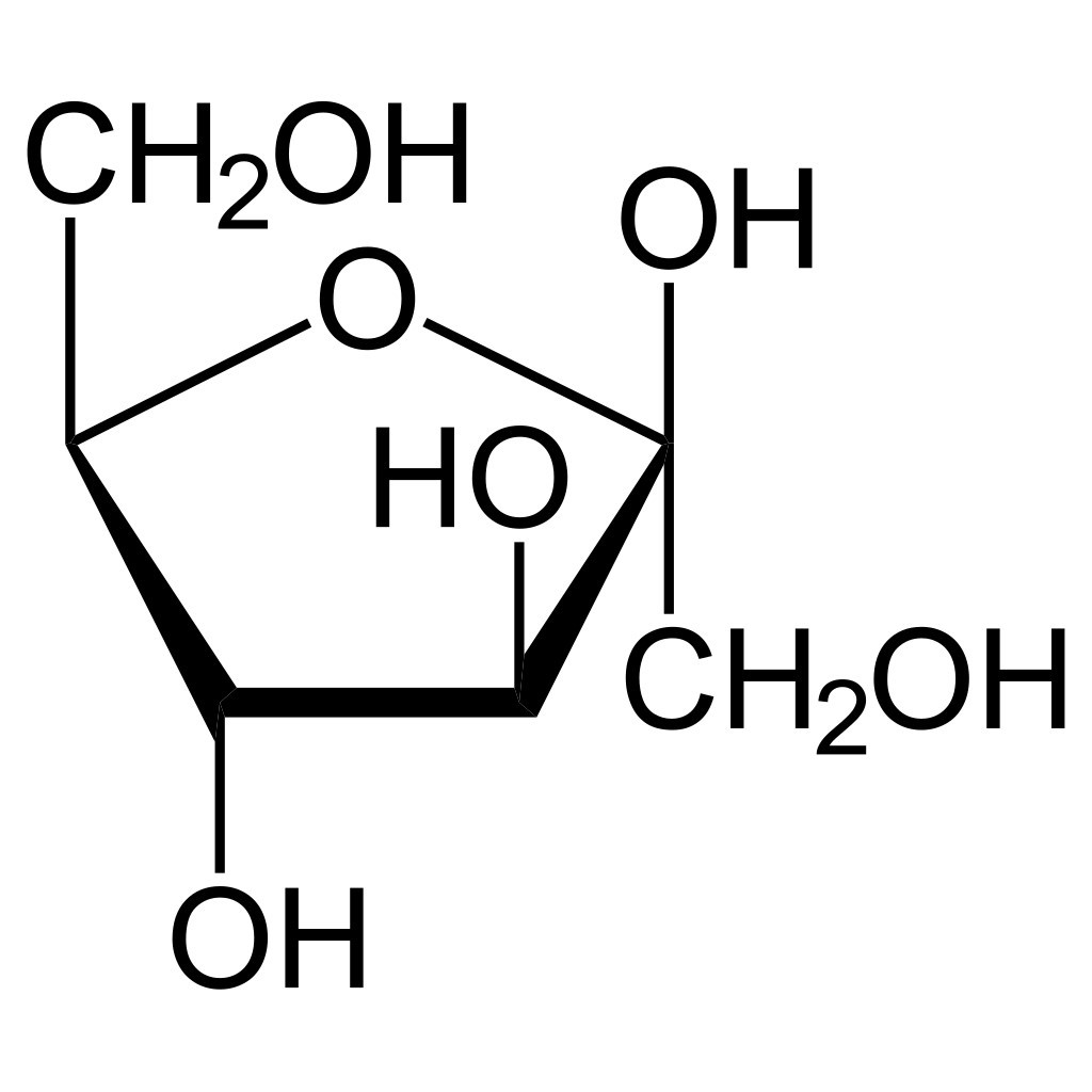 Structure of beta-D-fructofuranose (Haworth projection).