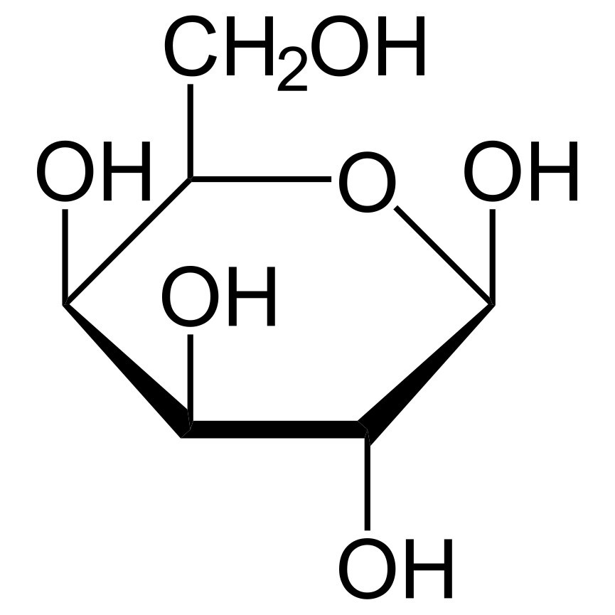 Structure of beta-D-galactopyranose (Haworth projection)