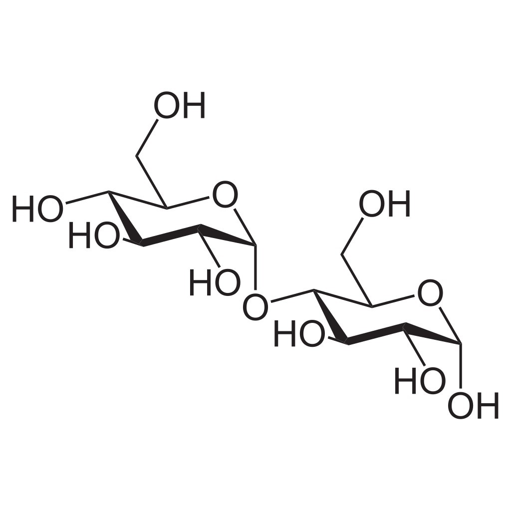 Struture of α-Maltose.
