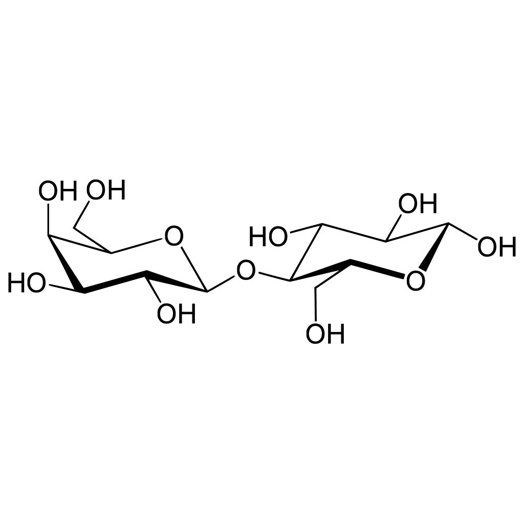 Structure of beta-D-Lactose.