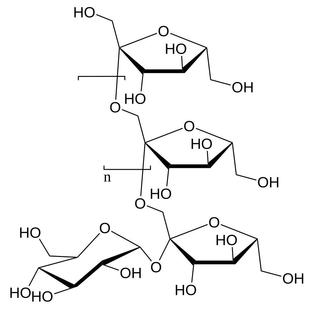 Fructooligosaccharide structure.