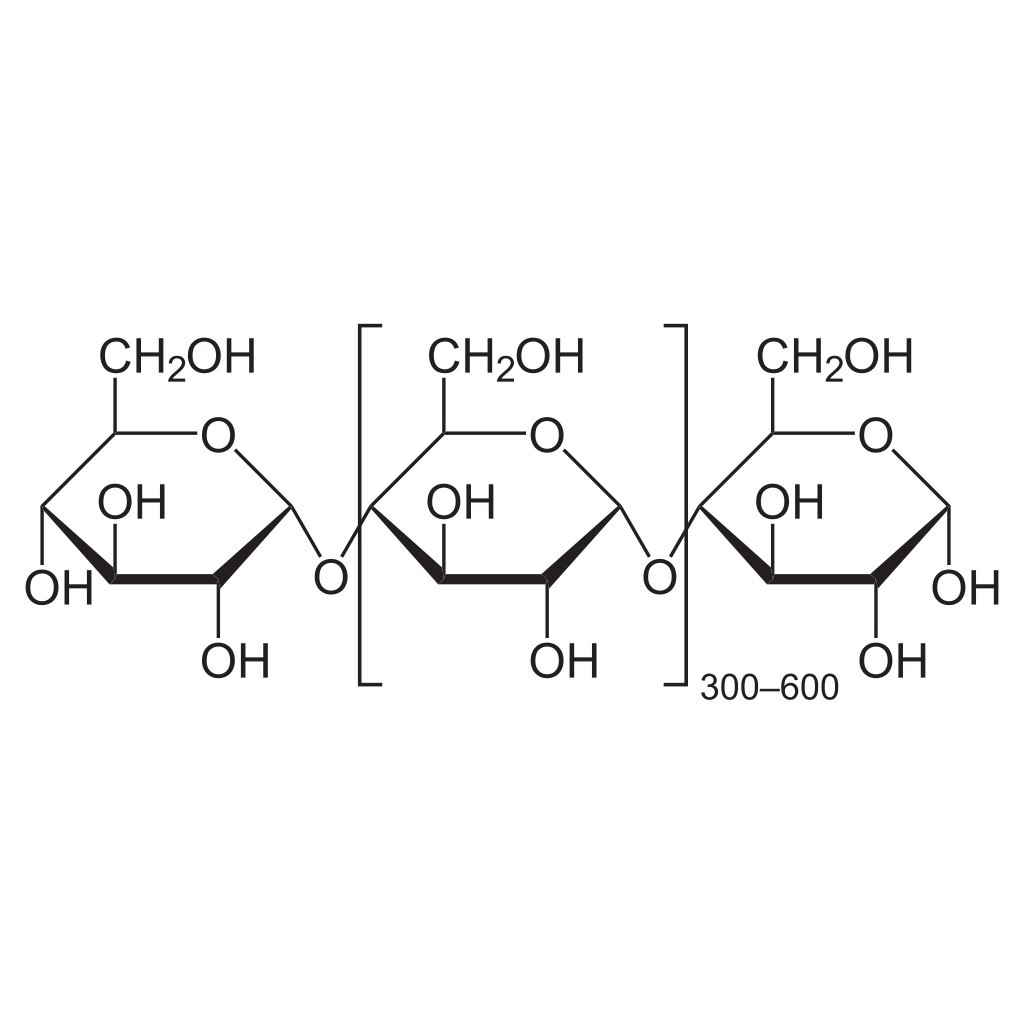 Structure of the amylose molecule.