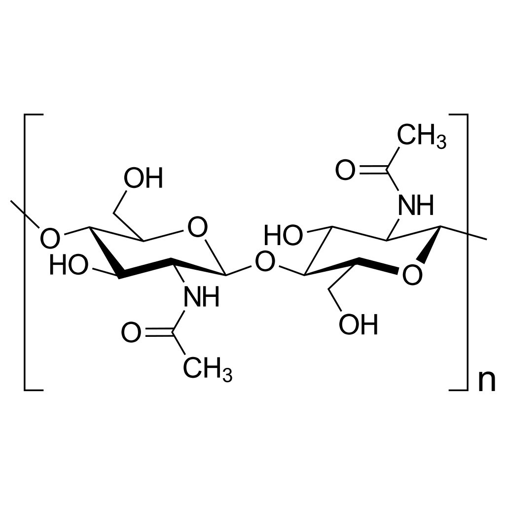 Structure of the chitin molecule.