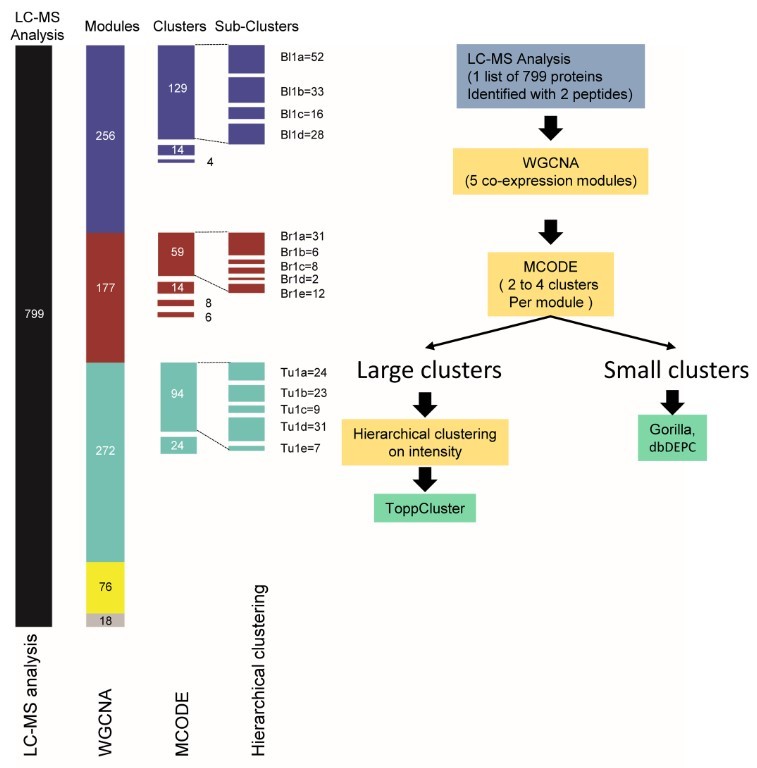 Protein co-expression analysis as a complementary strategy in quantitative proteomics: A case study of glioblastoma multiforme.