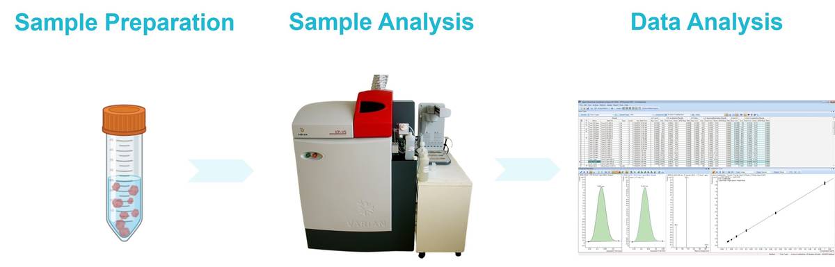 The ICP-MS workflow includes sample preparation and introduction, data acquisition and processing, and experimental analysis.