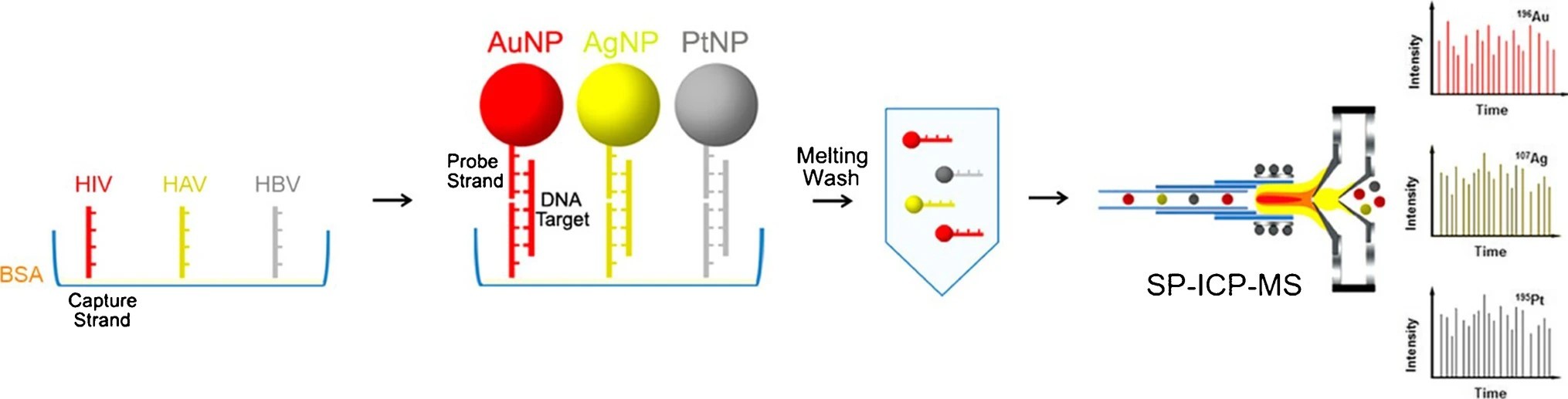 ICP-MS can be used for heterogeneous bioassay to detect viral nucleic acids.