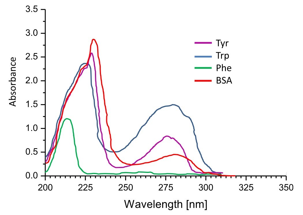UV spectroscopy is widely used to study aromatic amino acids such as tryptophan, tyrosine, and phenylalanine.