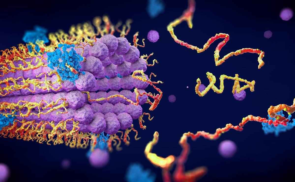 High quality enzyme engineering services provided by <strong>Creative Biostructure</strong>.