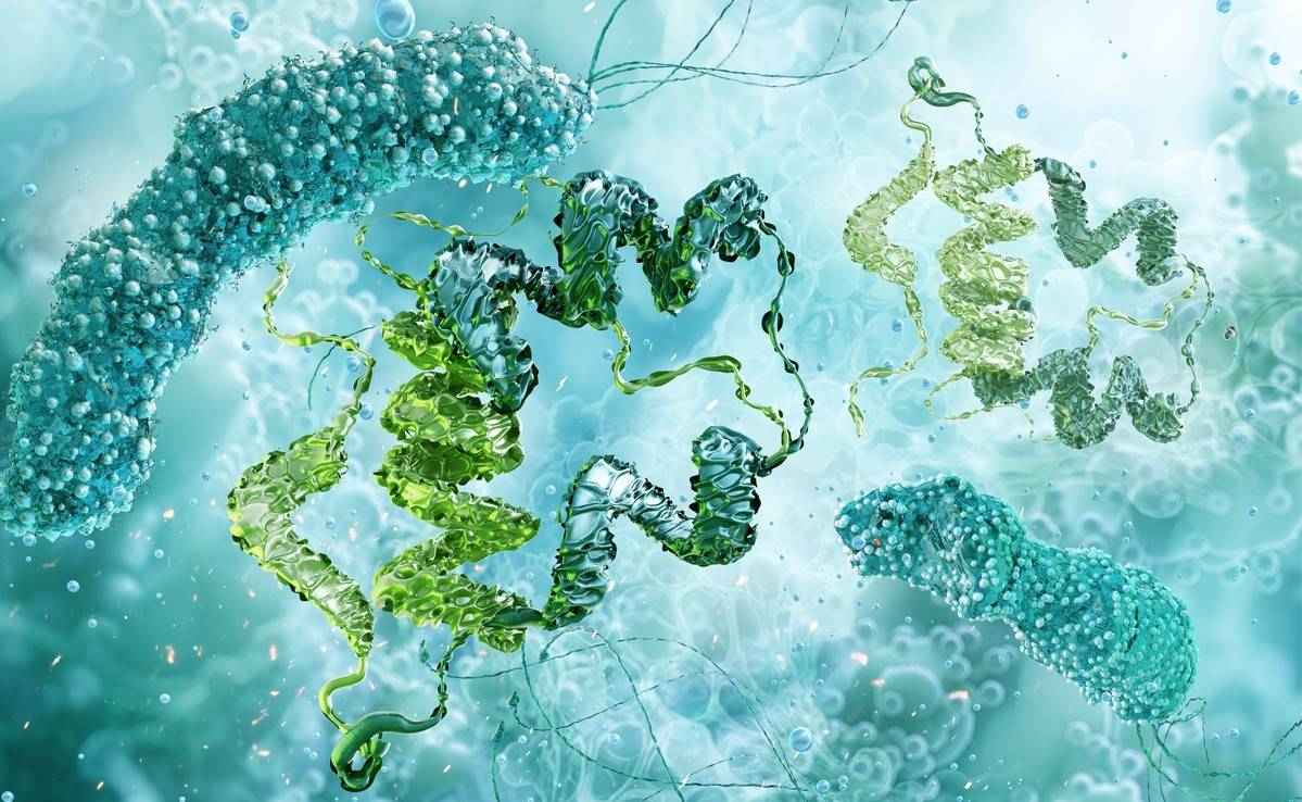 <strong>Creative Biostructure</strong>'s high throughput protein variant production platform.