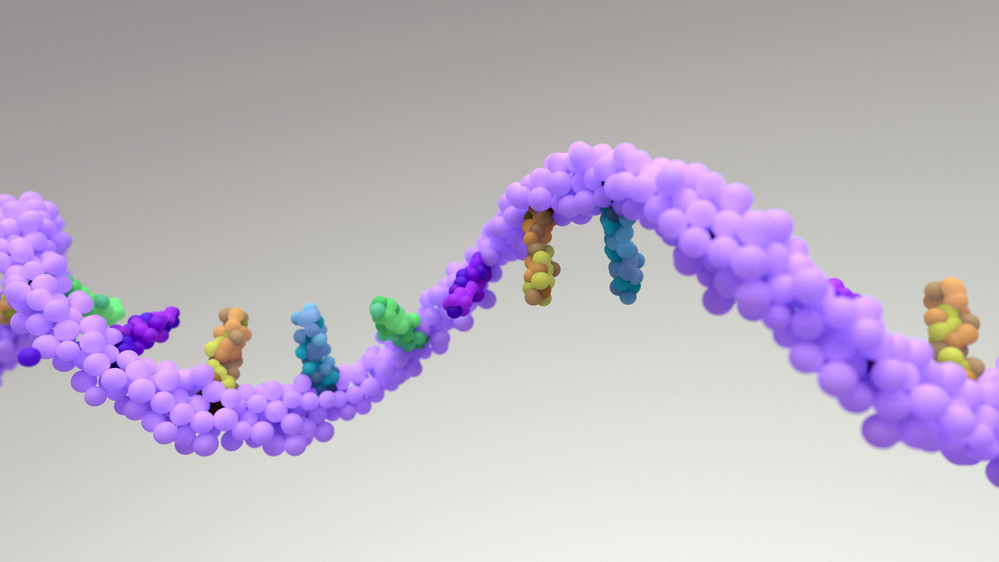 RNA Isolation and Purification: A Comprehensive Guide