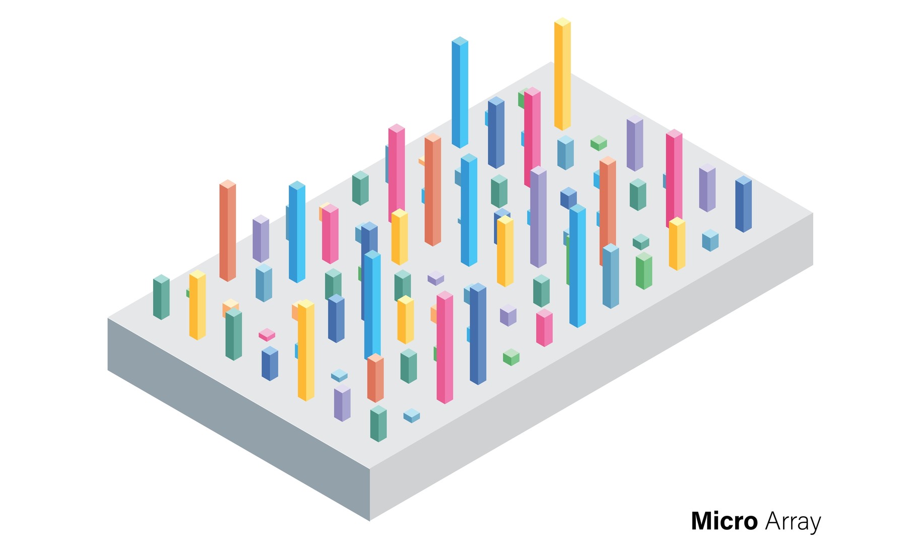 Microarray Analysis Techniques