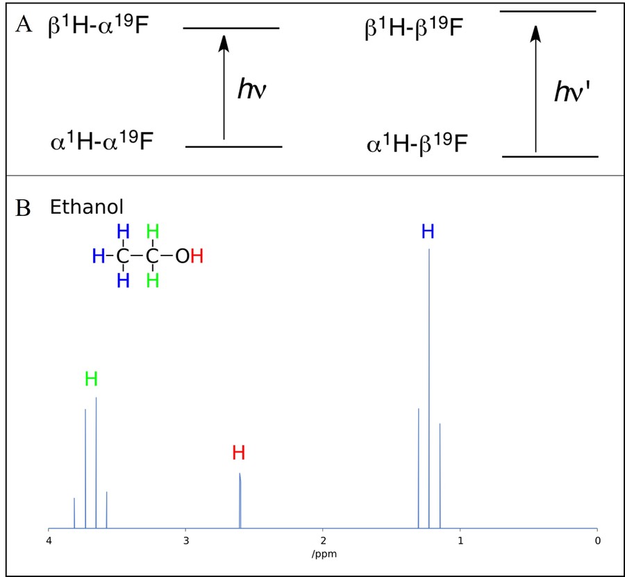 A graphical interpretation of J-coupling in COSY and TOCSY spectra.