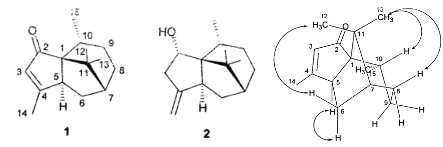NOESY can be used to identify spatial relations.