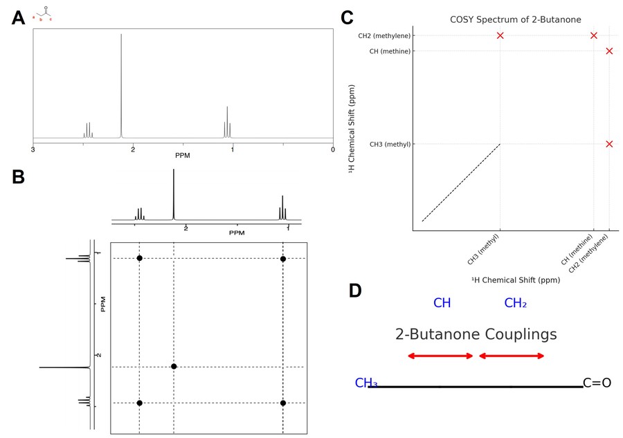 COSY spectrum of 2-butanone and interpretation.