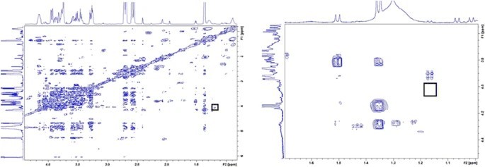 2D-COSY NMR spectroscopy as a quantitative tool in biological matrix: application to cyclodextrins.