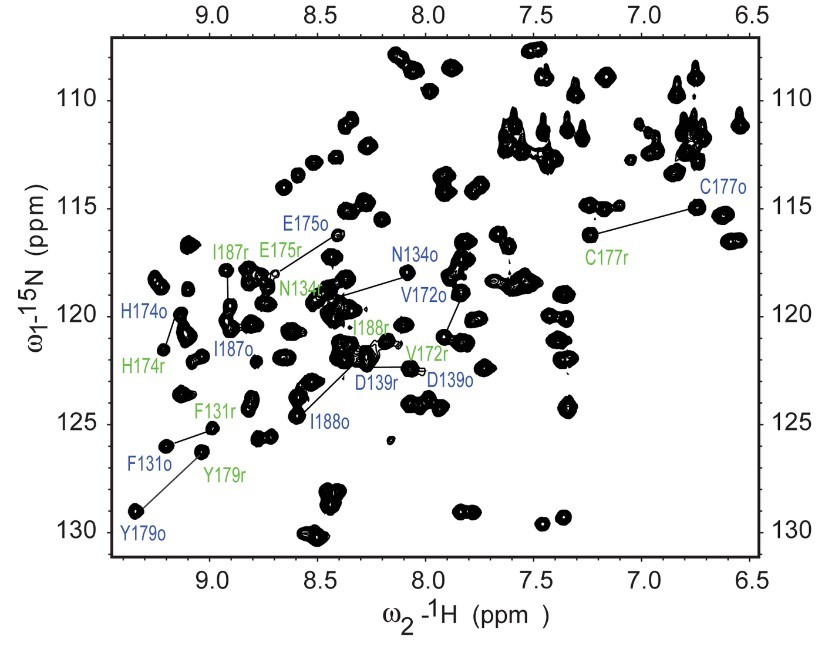 HSQC spectrum of a fragment of NleG3-2 protein.