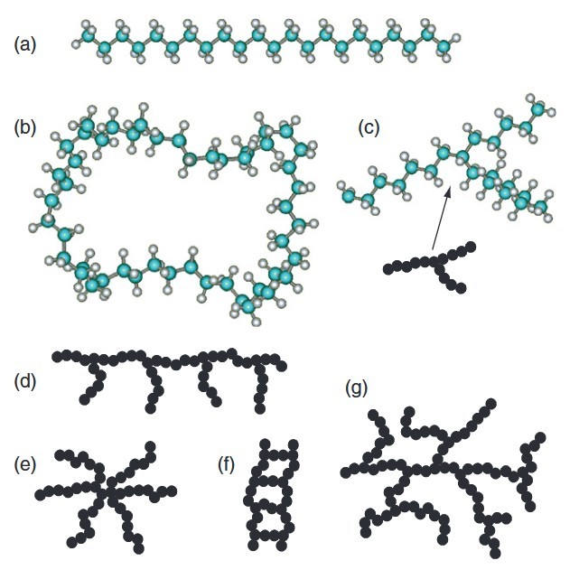 Chain types of polymers: linear chain, polymer ring, chain with one branching point, chain with one branching point, star polymer, ladder polymer, and randomly branched polymer.