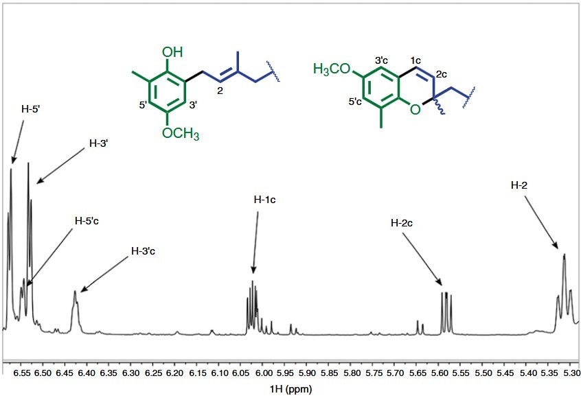 NMR analysis of terpenes from brown algae.
