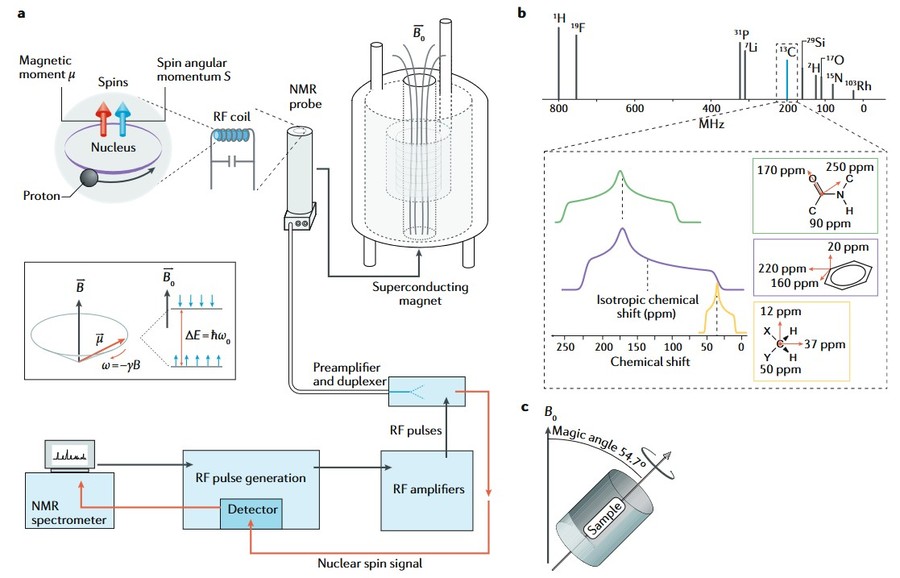 What is Solid-State NMR and How Is It Used?
