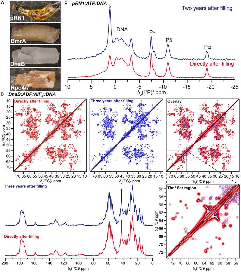 Sedimentation yields long-term stable protein samples as shown by solid-state NMR.