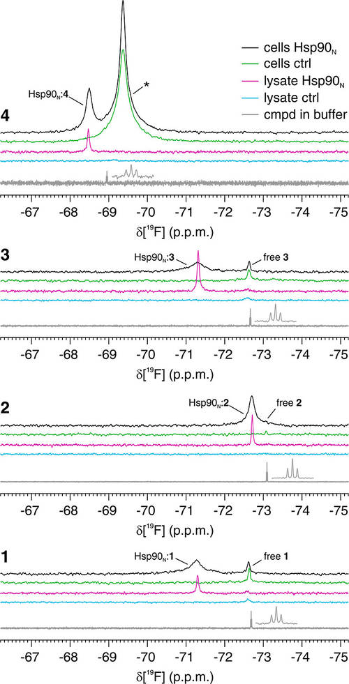 Ligand-based competition binding by real-time 19F NMR in human cells.