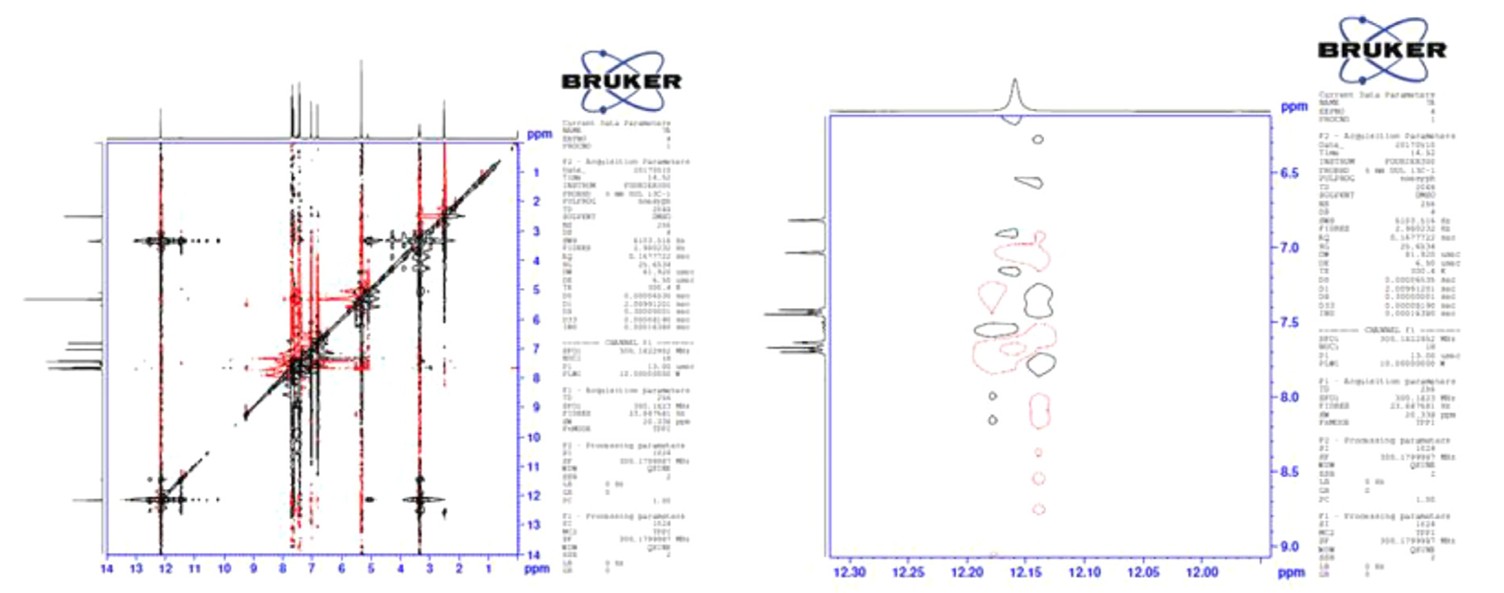 2D NMR of D4 spectra.