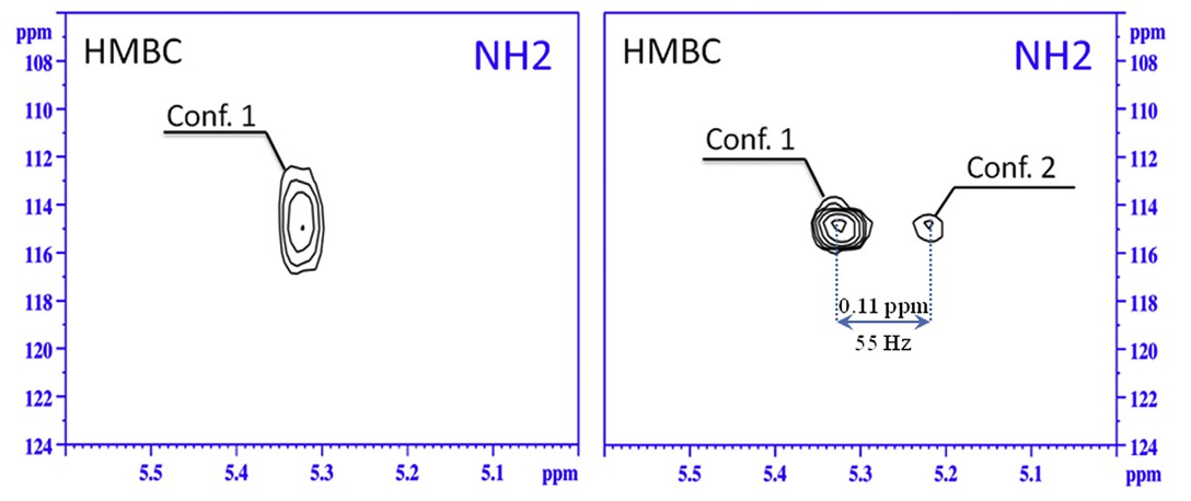 1H-15N HMBC spectra of carbamazepine in solutions with and without a solid phase in chloroform.