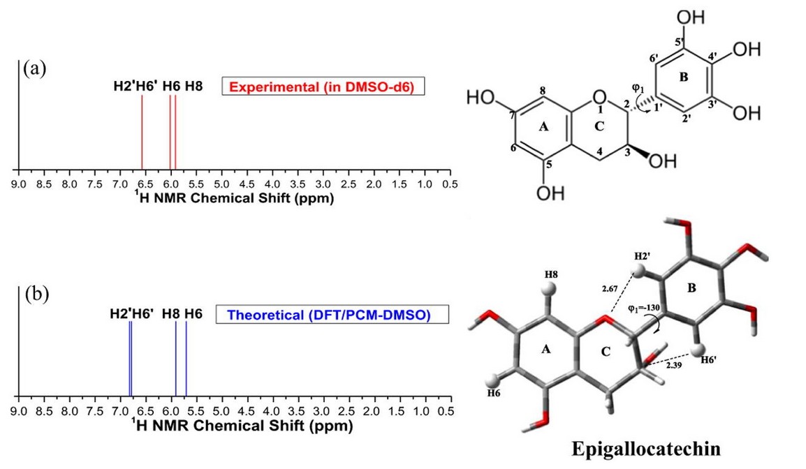 Structural analysis of flavonoids using NMR.
