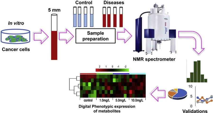 NMR is used in metabolomics for biomarker discovery.