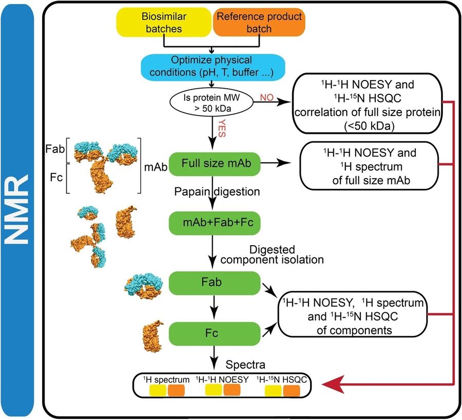 NMR fingerprinting used in biosimilar comparability testing for monoclonal antibodies.